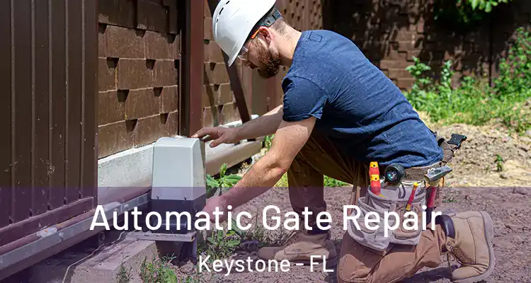  Automatic Gate Repair Keystone - FL