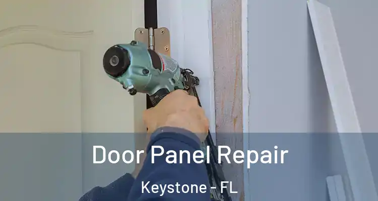  Door Panel Repair Keystone - FL