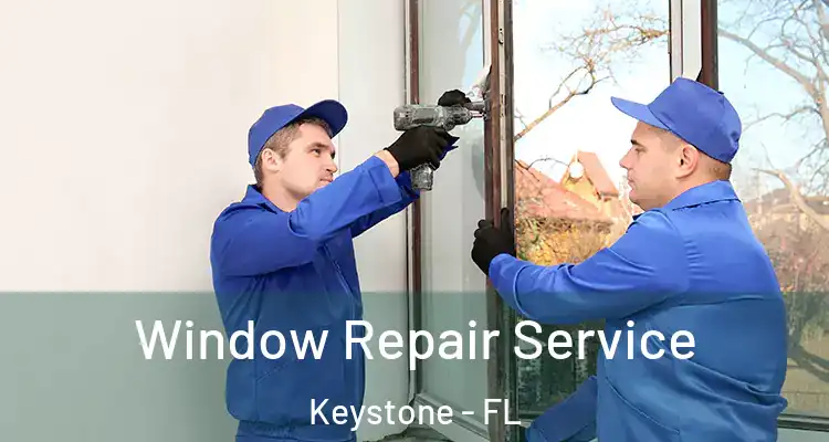  Window Repair Service Keystone - FL